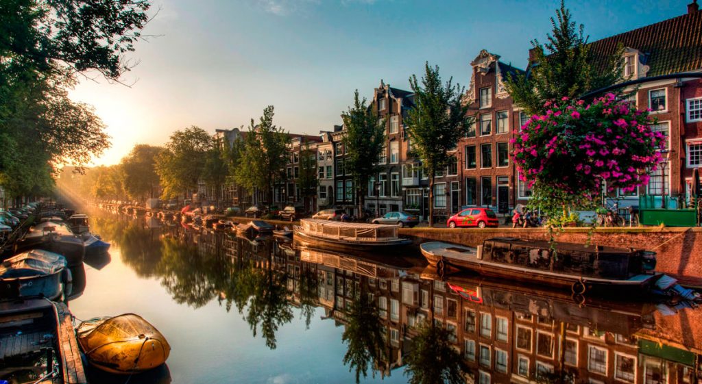 Tour in yacht su canali e laghi olandesi